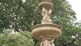 The Dolphin Fountain Resimi