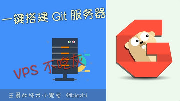 把玩我的 VPS 主机 - 搭建一个私有 Git 服务