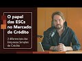 O papel das Empresas Simples de Crédito (ESC) no mercado de crédito