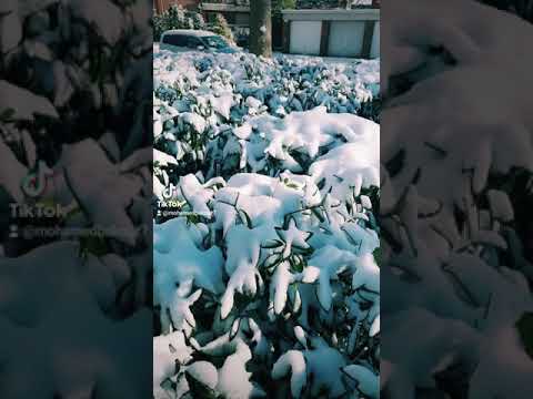 هاني شاكر بدعيلك تنساني وبحاول أنساك