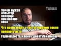 ЗАЧЕМ НУЖЕН ИЗБЫТОК КАЛОРИЙ ДЛЯ РОСТА МЫШЦ | ГОРМОН РОСТА | ГОРМОНЫ ПОСЛЕ СЕКСА