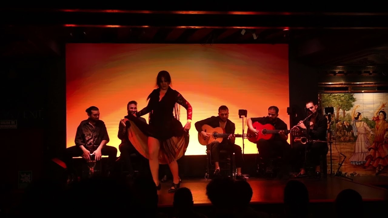 Flamenco dance, Madrid Spain -I