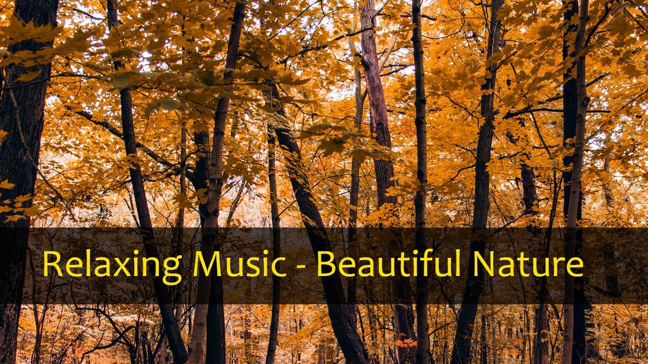 Relaxing Music Autumn , Deep Sleep Music , Relax Music , Calm Music ...