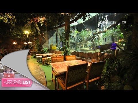 Video: Hotel Pohon