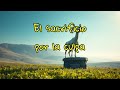 Levítico 5: La Ofrenda por la Culpa – Confesión y Perdón