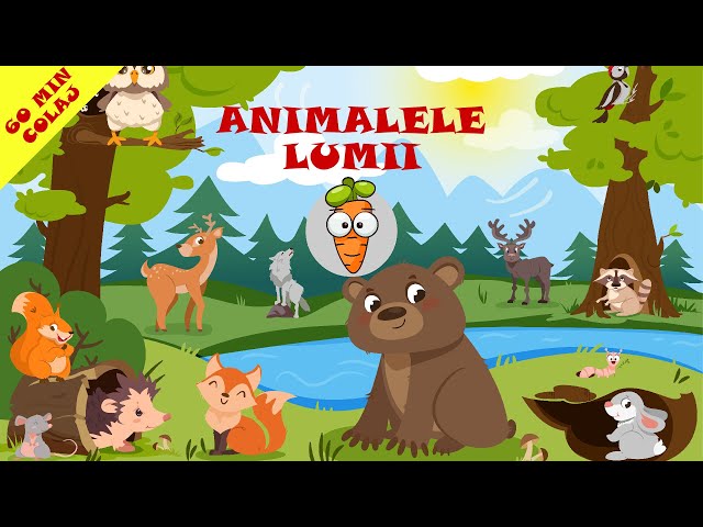 Animalele Lumii - 60 Minute Colaj Cantece Pentru Copii class=