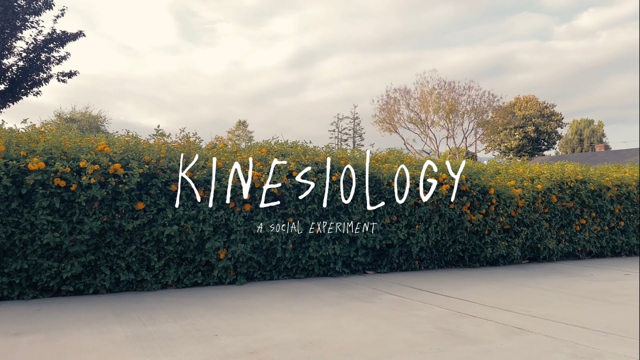 Kinesiology YouTube