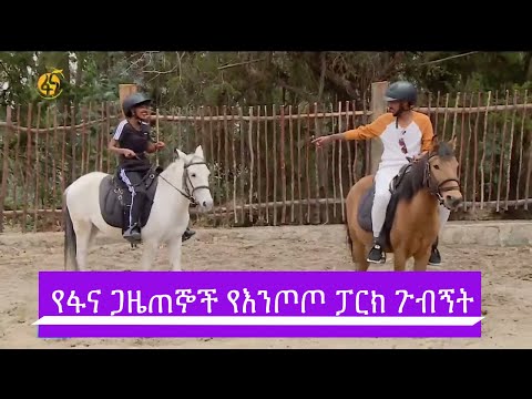 ቪዲዮ: የመዝናኛ ፓርኮች እና ጭብጥ ፓርኮች