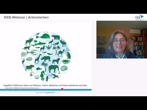 Online-Seminar| Was hat
