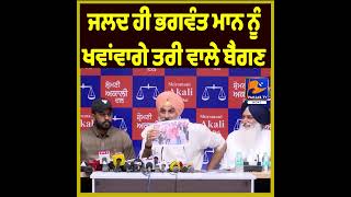 “Bhagwant Mann Will Soon Face the Heat,” Opposition Leader’s ‘Baingan Curry’ Jibe Sparks Debate
