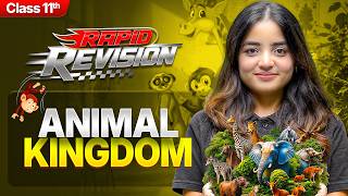 Animal Kingdom in 22 min | Class 11 Biology - Chapter 4 RAPID REVISION | CBSE 2026-27