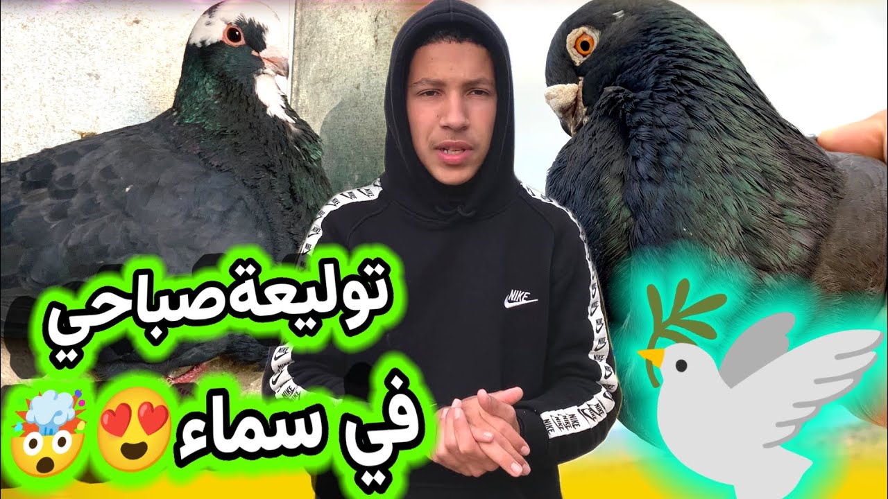 توليعةصباحي في السماء😍متخيلوش شني جديد ❤️🤩