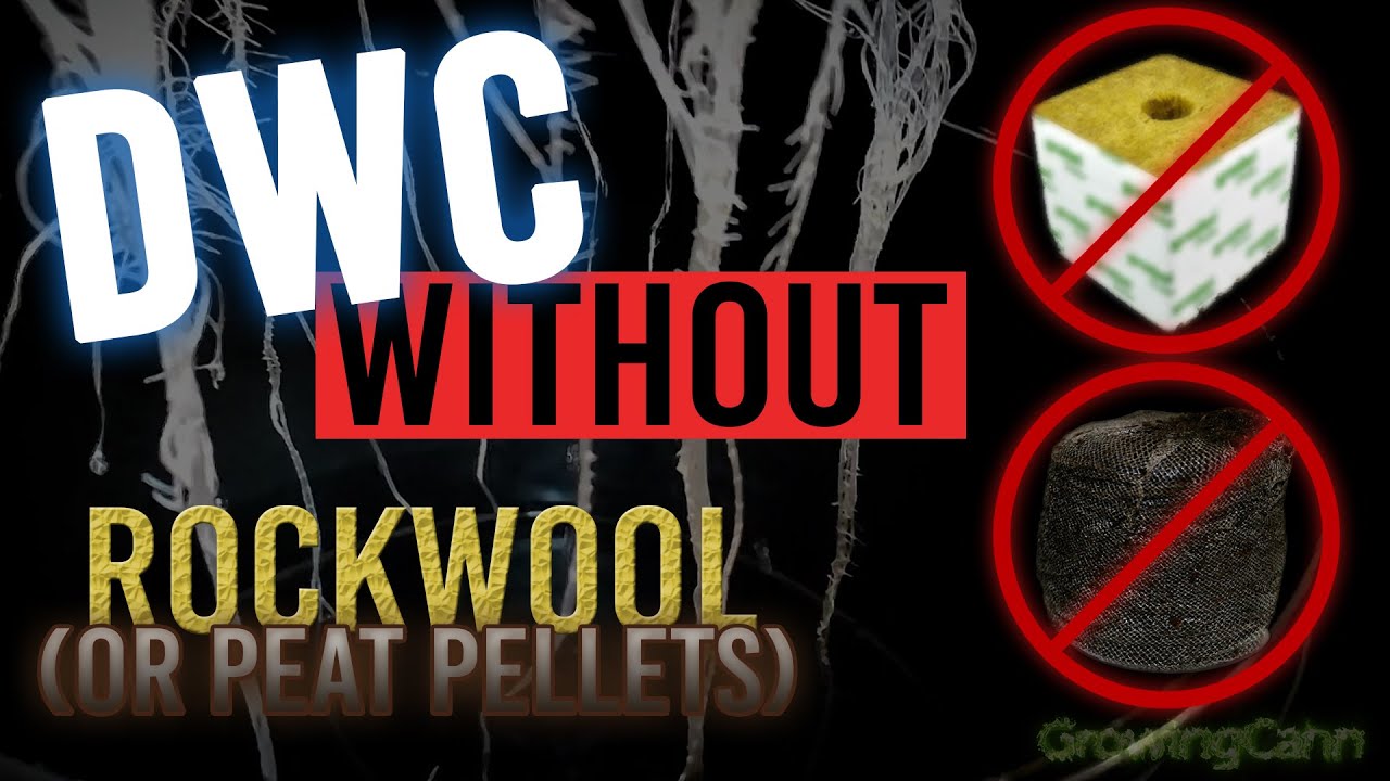 How To Grow WEED Hydroponically WITHOUT Rockwool