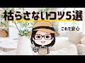もう枯れない！お花の選び方と長持ちのヒント5つ📌