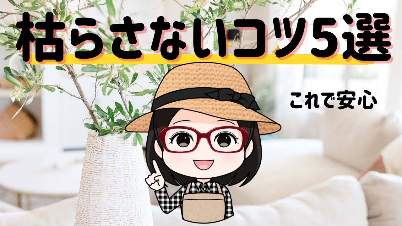 もう枯れない！お花の選び方と長持ちのヒント5つ📌