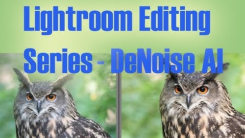 Lightroom Editing Series - How to Remove Noise with Topaz DeNoise AI