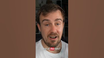 Waarom gaan adviesbureaus ten onder in het tijdperk van AI?