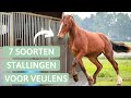 7 soorten stallingen voor veulens | Opfok | Veulen kopen #2 ||Elysepaard