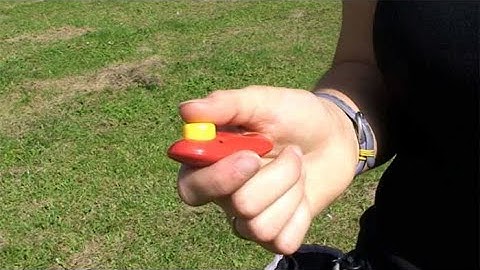 Clicker Training basics