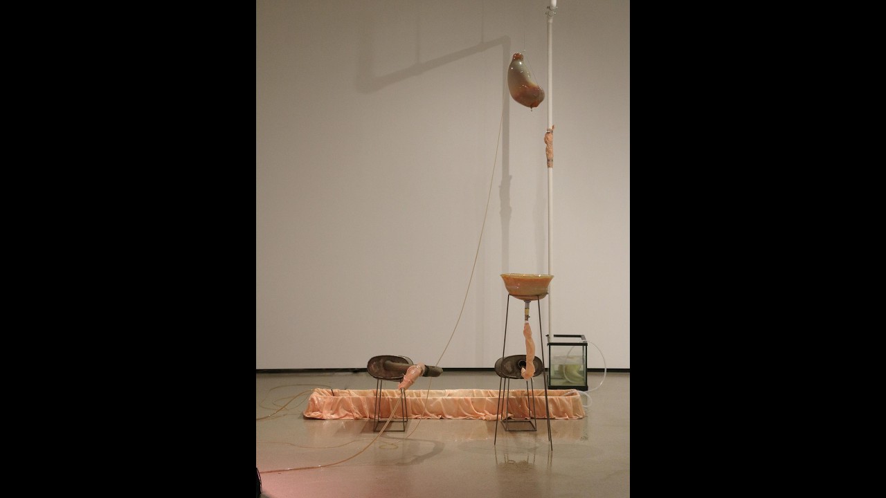 Invasive Apparatus|Xingyu Huang|2025