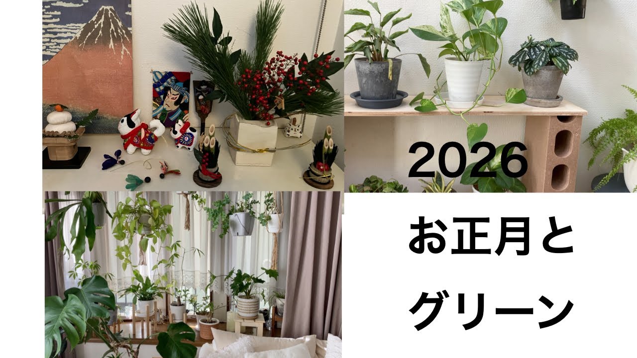 あけましておめでとうございます/ゆっくりとしたお正月でした