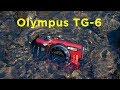 Olympus TG-6 - 5 reasons why it is BETTER than your phone!