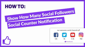 Show Off How Many Social Media Followers You Have - ProveSource Social Counter