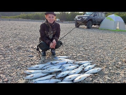 Горбуша прет стеной! рыбалка в Магадане.