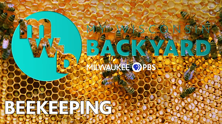 My Wisconsin Backyard | Web Series | Beekeeping