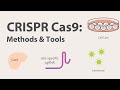 2 crispr cas9  methods and tools