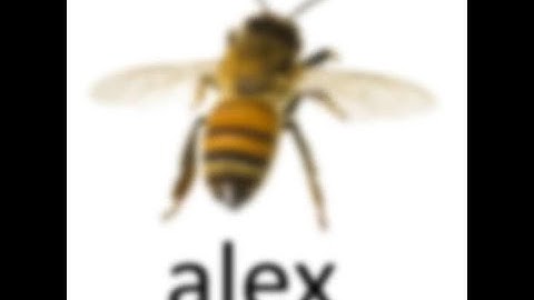 (NEW EFFECT) Klasky Csupo in Palindromic Hen Major (My Version)