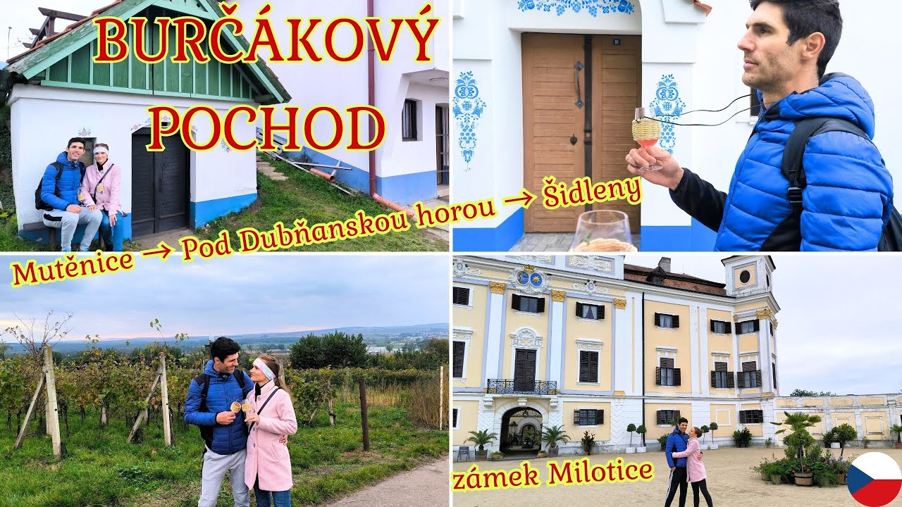 JAK NÁM CHUTNAL BURČÁK🍷BURČÁKOVÝ POCHOD🍇MILOTICE-POD DUBŇANSKOU HOROU-ŠIDLENY🍷UŽÍVÁME SI S PŘÁTELI🏰