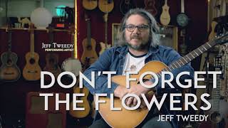 Jeff Tweedy - DONT FORGET THE FLOWERS Acoustic