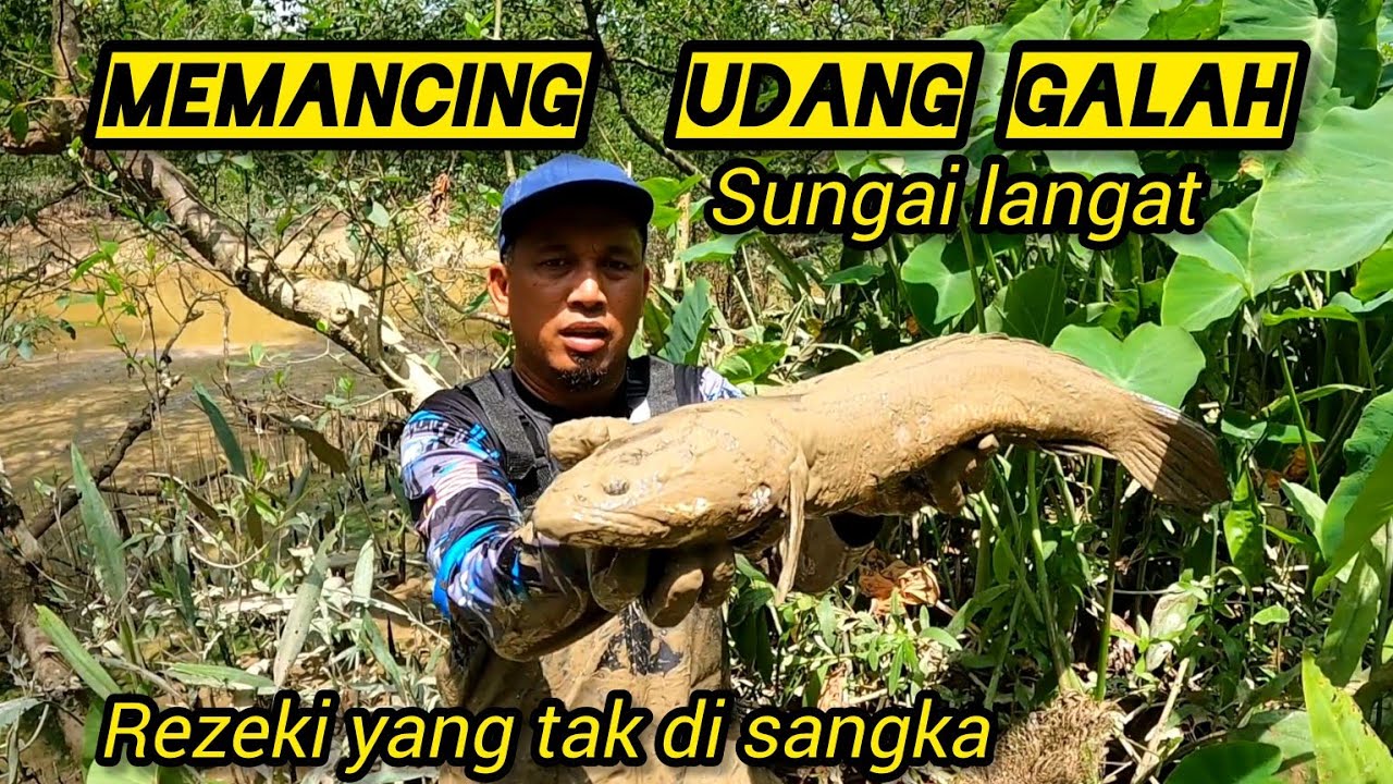 Memancing Udang Galah Di sungai Langat.#gengdunia  #sungailangat