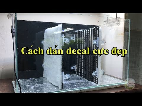 Video Hướng Dẫn Cách Dán Decal Cho Bể Cá, Bể Thủy Sinh Cực... - youtube
