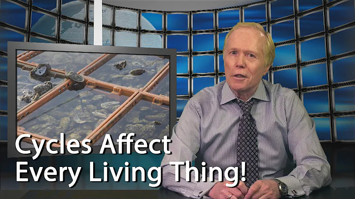 Nature's Cycles Affect Every Living Thing
