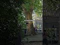 #inoxtag #michou #helloneighbor3