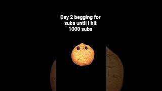 Day 2 begging for subs until I hit 1000 subs