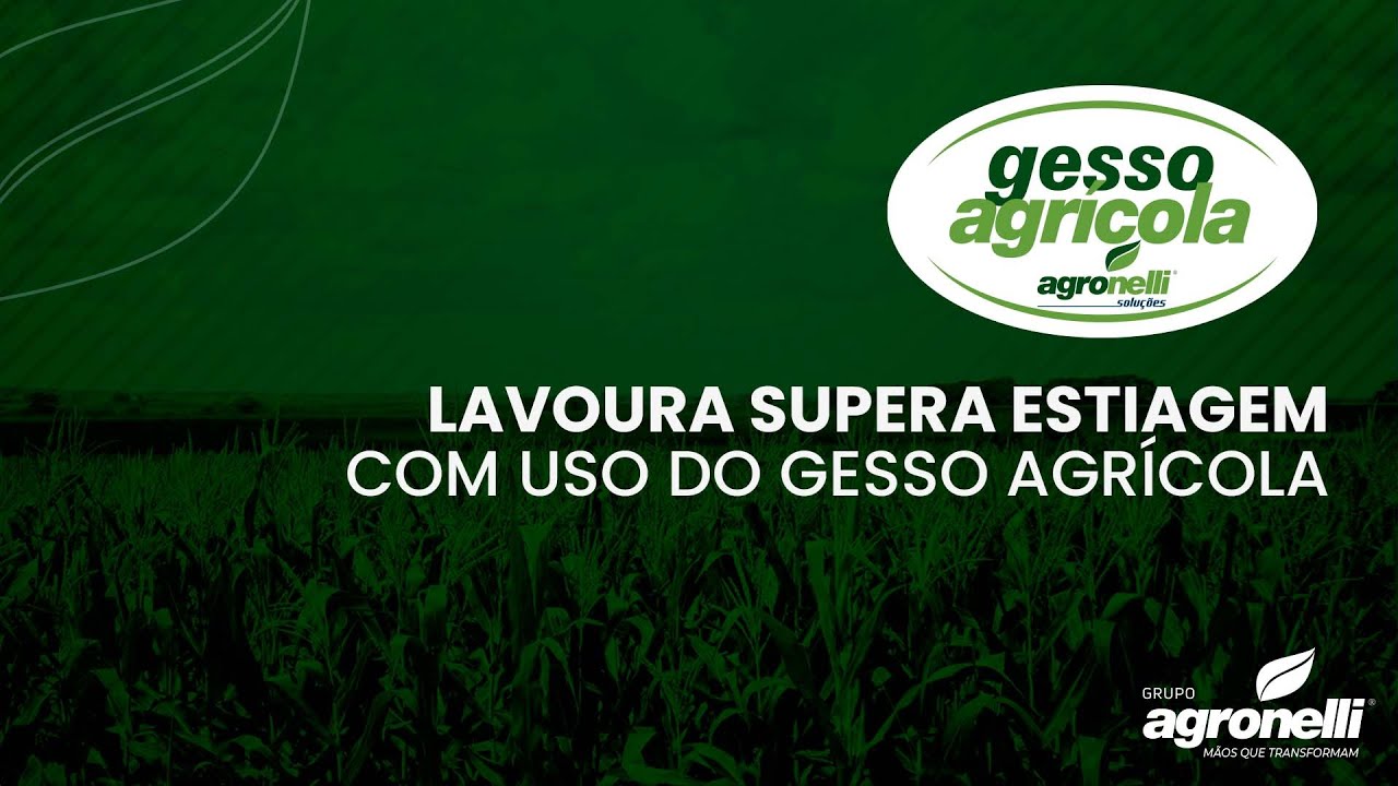 Lavoura Supera Estiagem com Uso do Gesso Agrícola 