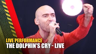 The Dolphin's Cry - LIVE | Live at TMF Awards | The Music Factory