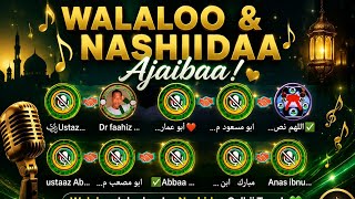 Walaloo fii nashiiidaan Ajaibaa wwwww heduu namatii tolaa 🫰👂👂👂👍🤵‍♂️🧕