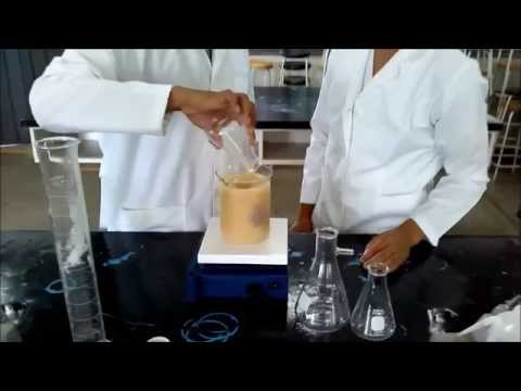 OBTENCIÓN DE BIOETANOL A PARTIR DE LA FERMENTACIÓN DE LA PIÑA!! - YouTube