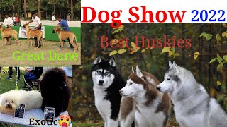 Patiala Dog Show 2022 || Exotic Dogs || #chaser #scoobers #trending