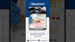 pH Indicators Explained: Acid or Base? Watch the Color Magic!