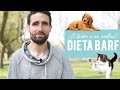 La dieta BARF. ¿A favor o en contra?