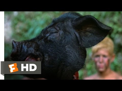 וִידֵאוֹ: באדון הזבובים איך מת חזירון?