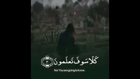 سورة التكاثر كاملة بصوت الشيخ خالد الجليل