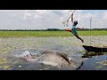 Village Best &amp; Expert Small Boy Jumping Boat &amp; Trapping Very Big Fish With Bamboo Tools Teta/Kotch