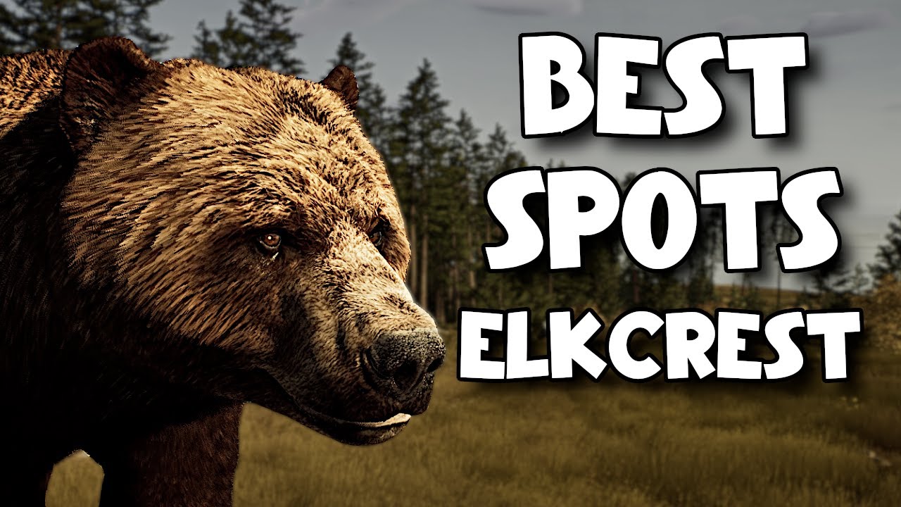 Медведи Кодьяк, пятна Элккрест