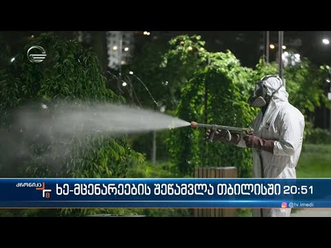 დედაქალაქში, მწვანე საფარის შეწამვლა მიმდინარეობს